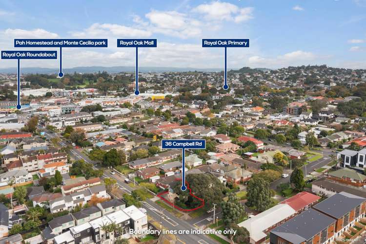 36 Campbell Road_4
