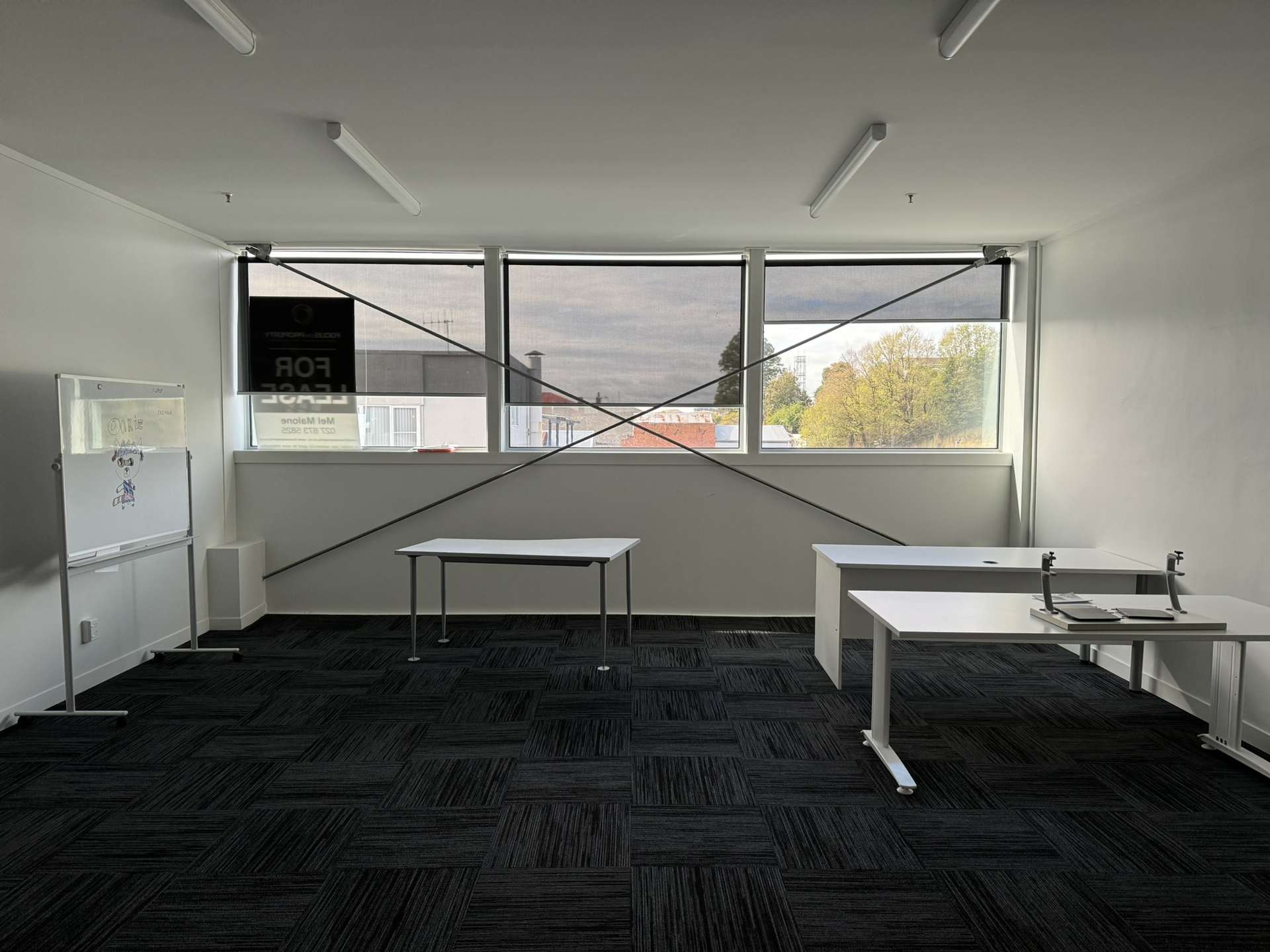 Level 2 125/9 Ruataniwha Street Waipukurau_0