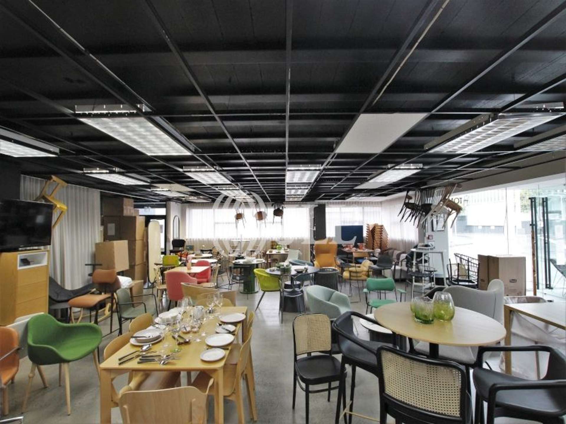 Ground Level/15 Bath Street Parnell_0