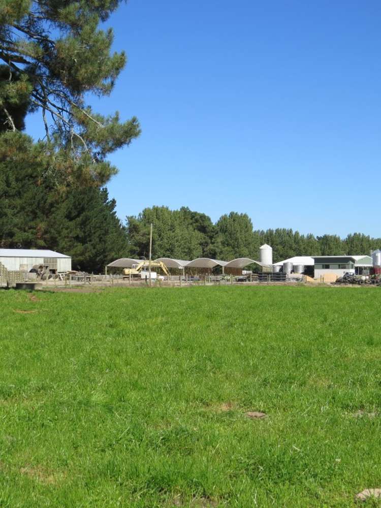 6261 State Highway 1 Kinleith_16