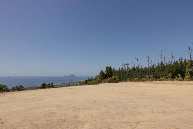 201 Kokako Heights Matata_12