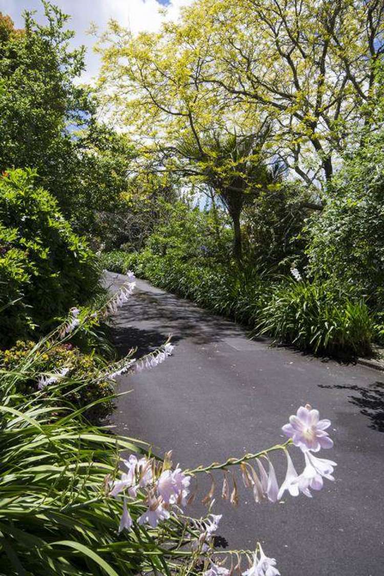 123 Point View Drive East Tamaki Heights_12