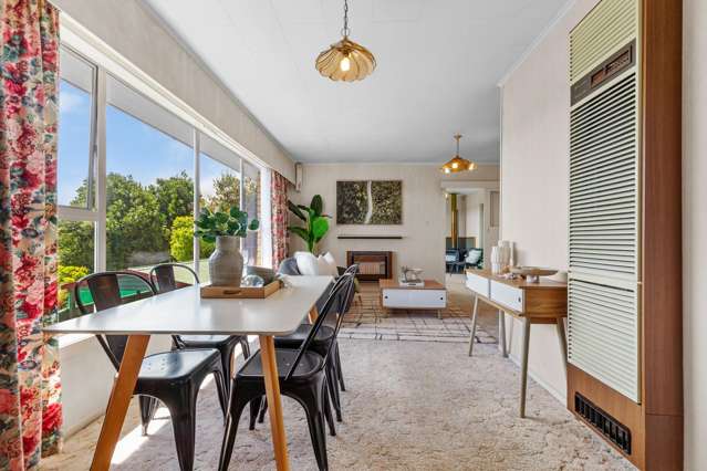 18 Argyle Avenue Levin_1