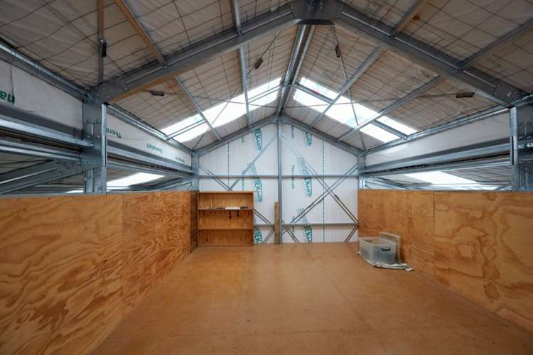 98 Fosters Road Cheviot_14