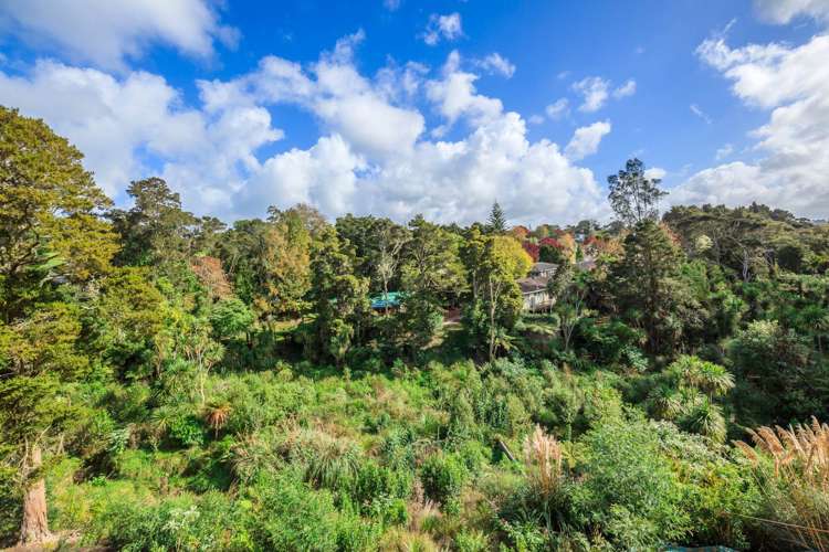 35 Inglis Street Birkdale_6