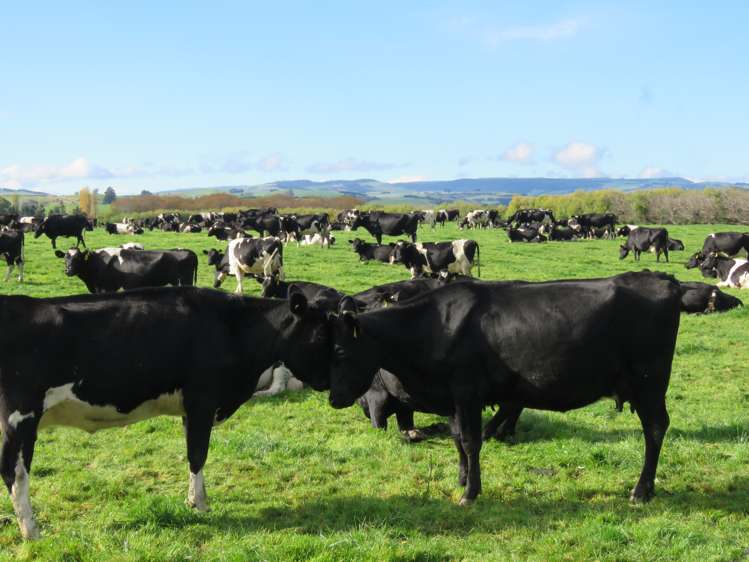 887 Wyndham Road Gore Surrounds_9