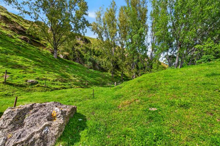 559 Maraetotara Road Maraetotara_23