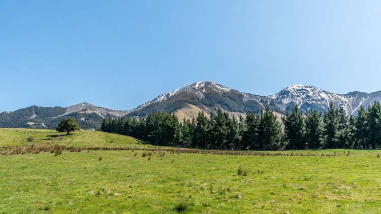 202 Mount Lyford Forest Drive Lyford_8