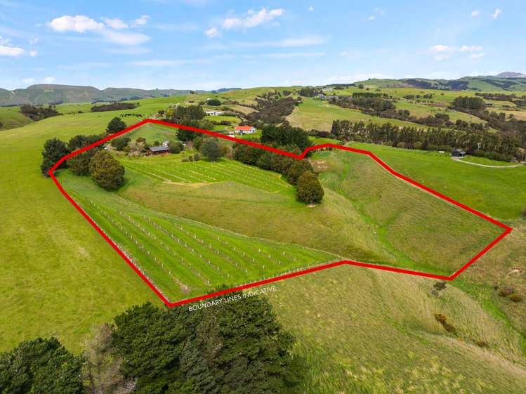 121 Southdown Drive Martinborough_34