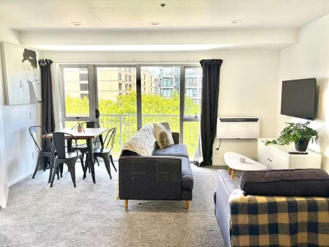 208 Hobson Street Auckland Central_2