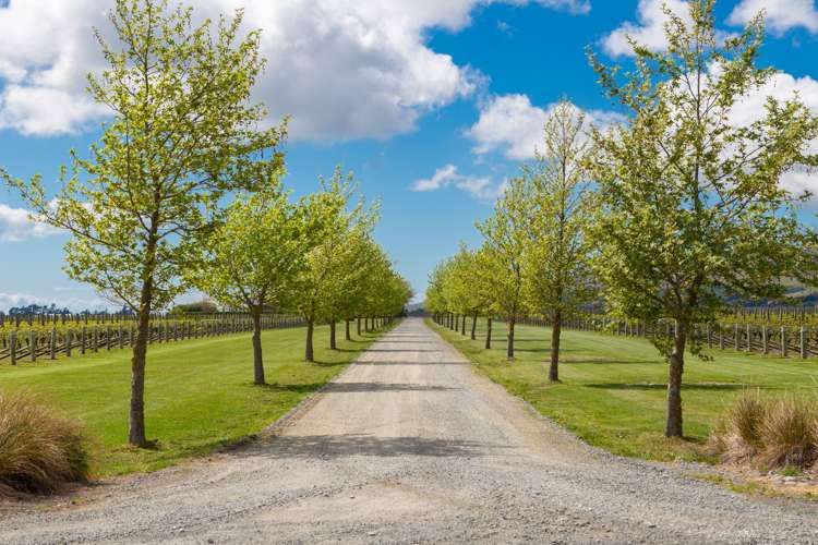 133 Ben Morven Road Fairhall_1