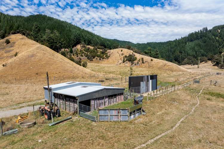 407 Onamalutu Road Wairau Valley_47
