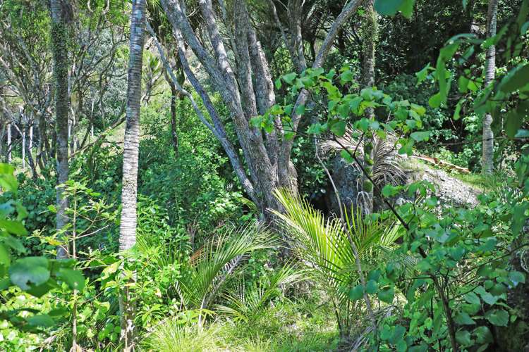 14 Boulder Bay Drive Tuateawa_24