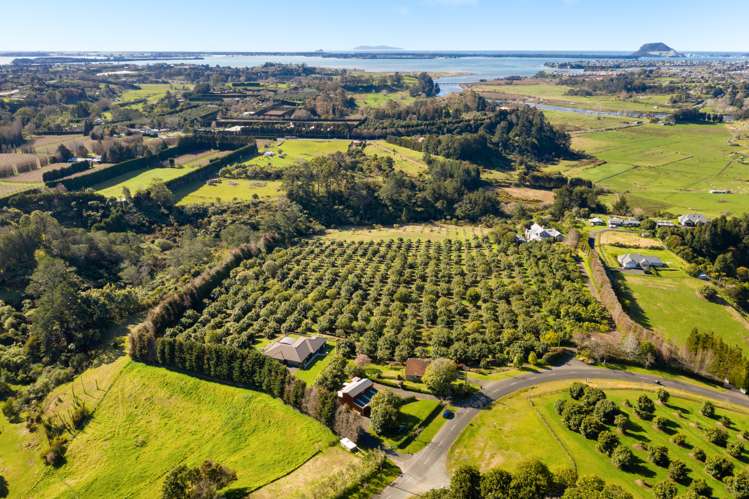 84a Oliver Road Wairoa_19