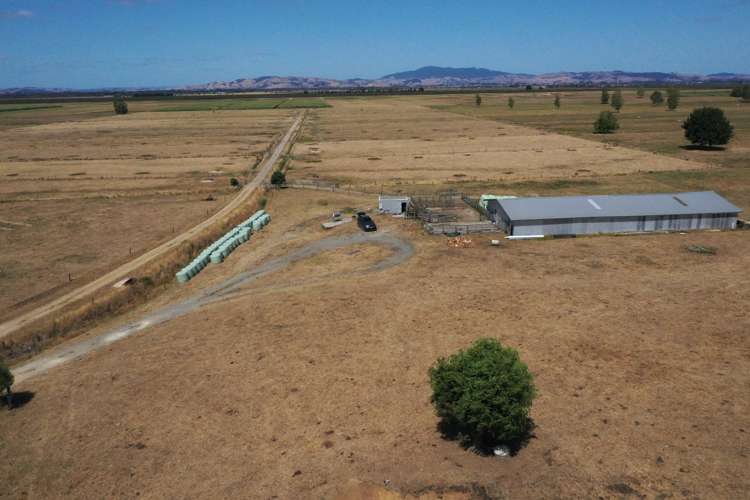 111 Mill Road Ohaupo_5