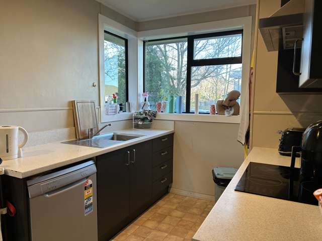 29 Vicki Street Sockburn_1