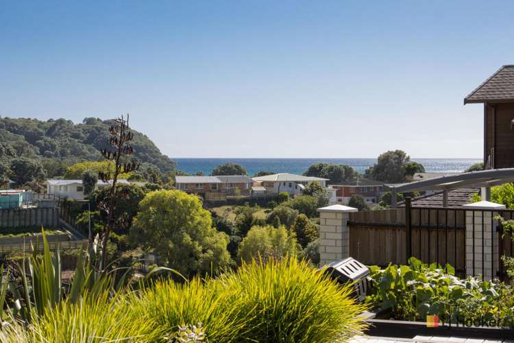 44 Mayor View Terrace Waihi Beach_22