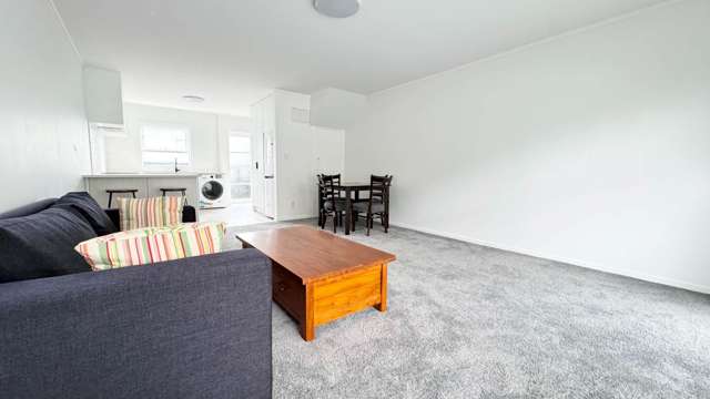3/29A Birdwood Crescent Parnell_1