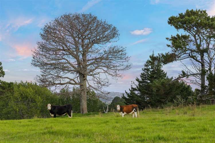 669 Ridge Road Riverhead_20