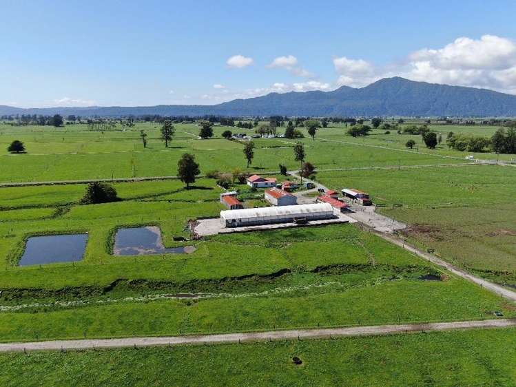 19 Cropp Road Kowhitirangi_19