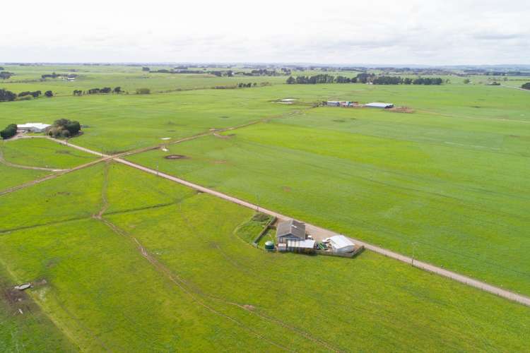 287 State Highway 1 Bulls_14