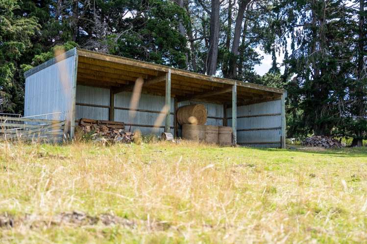 00 Blue Spur Road, Gabriels Gully Lawrence_19
