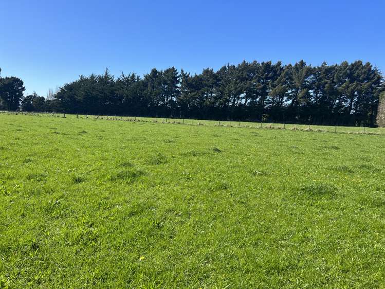 362 Lorne Dacre Road Roslyn Bush_14