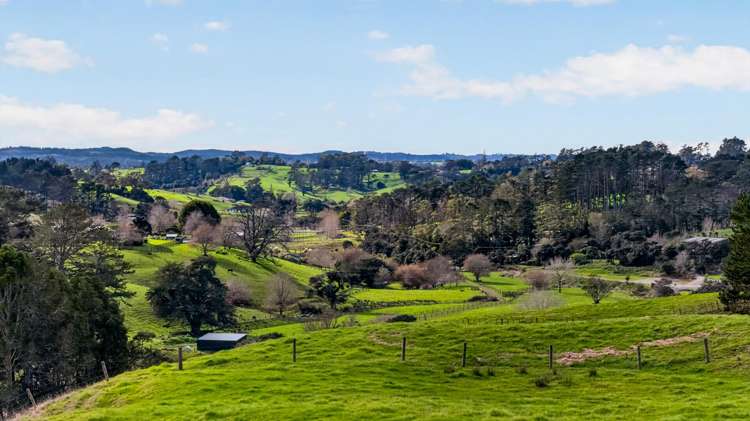 Lot 2 Annett Road Kumeu_15