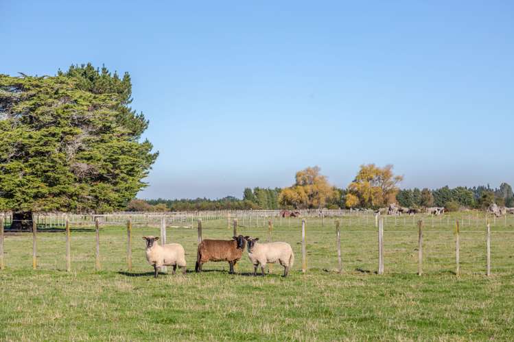 231 Norfolk Road Carterton_14