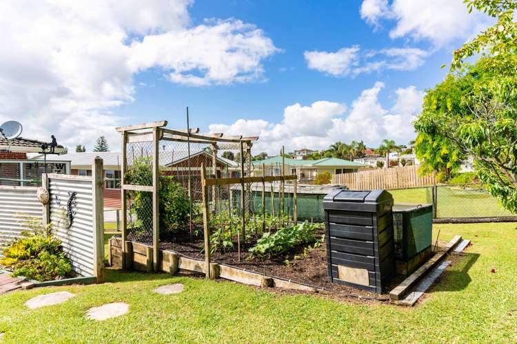 16 Cobham Avenue Dargaville_16