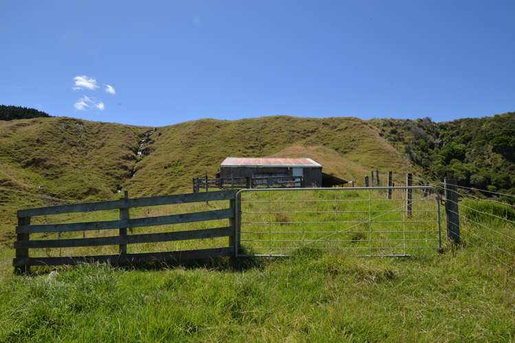 State Highway 3 Mokau_1