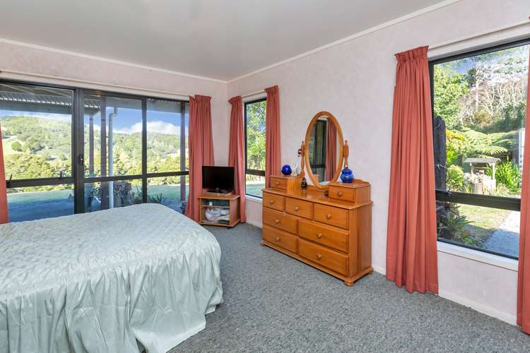 903 Springfield Road Mangapai and Surrounds_12