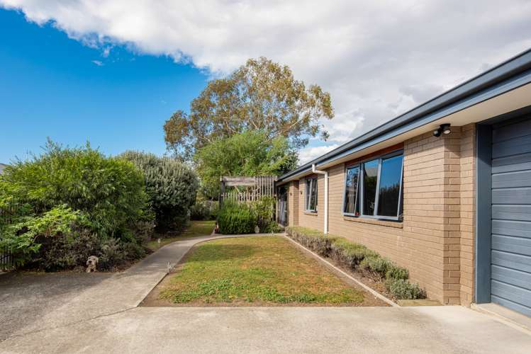 213a Maxwell Road Redwoodtown_2