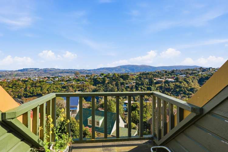 35 Aytoun Street Waverley_19