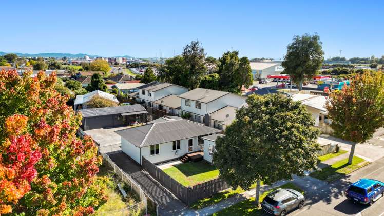 4a Dominion Road Nawton_19