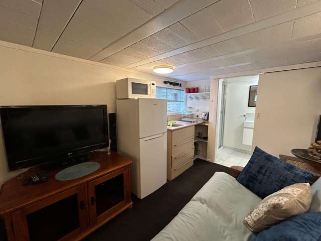 84 Marine Drive Diamond Harbour_4