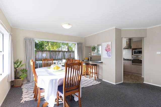 85 Cameron Road Te Puke_2