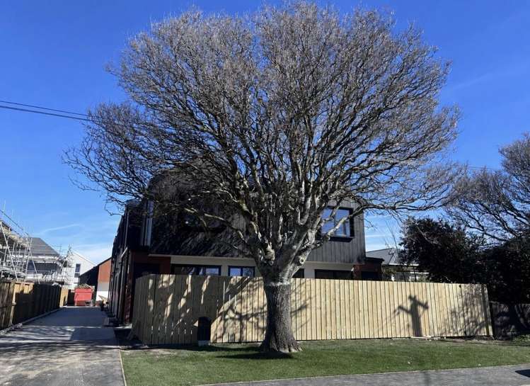 31 Hinemoa Street_0