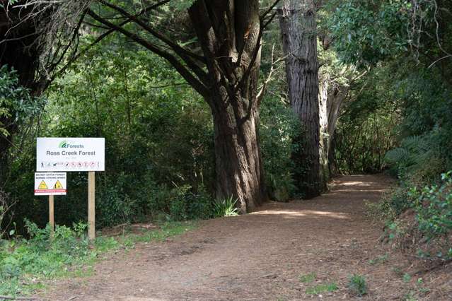 9 Islay Street Glenleith_4