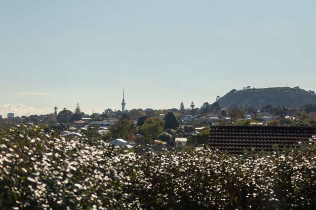 53a Landscape Road Mount Eden_2