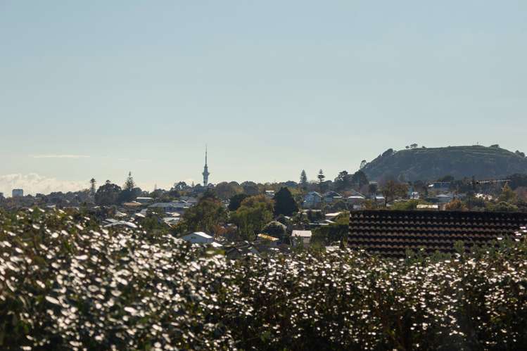 53a Landscape Road Mount Eden_2