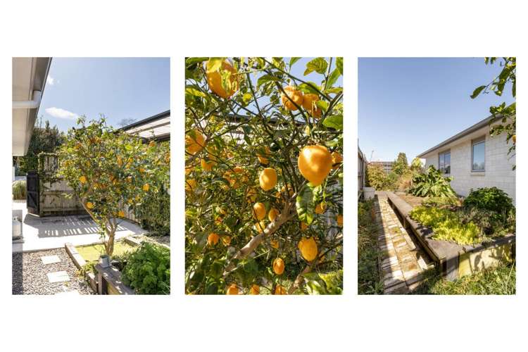 84D Margaret Drive Omokoroa_30