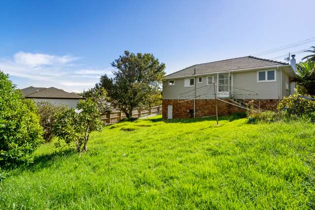 52 Ellis Avenue Mount Roskill_2