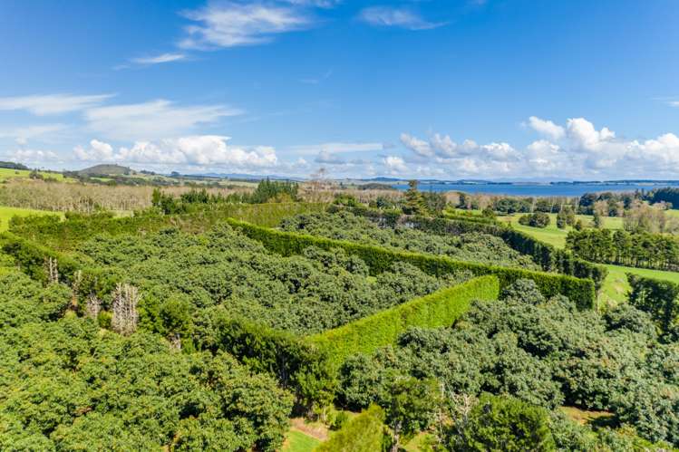 168 Hariru Road Ohaeawai_16