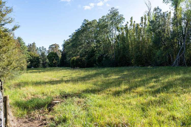 46 Cookson Road Kawakawa_31