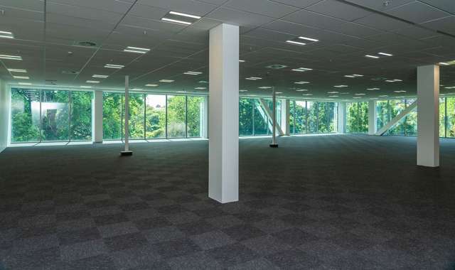 17 Grantham Street Hamilton Central_3