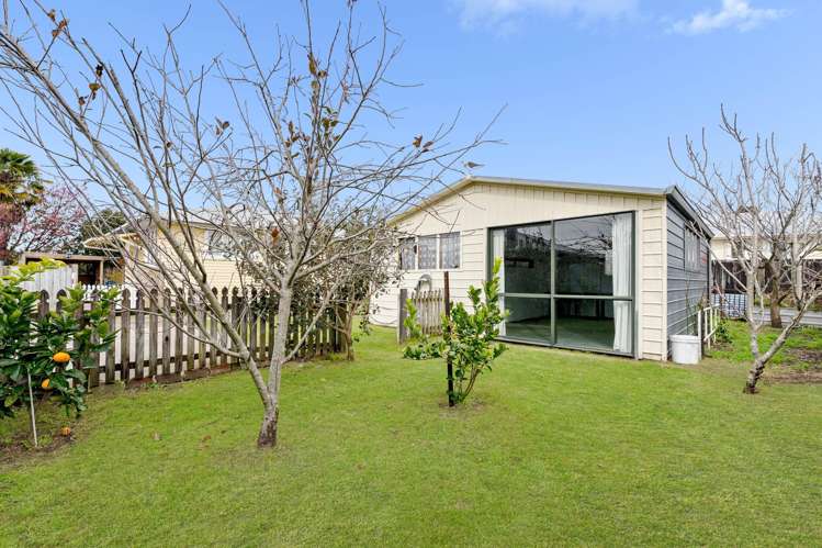 22a Harris Street Te Puke_14