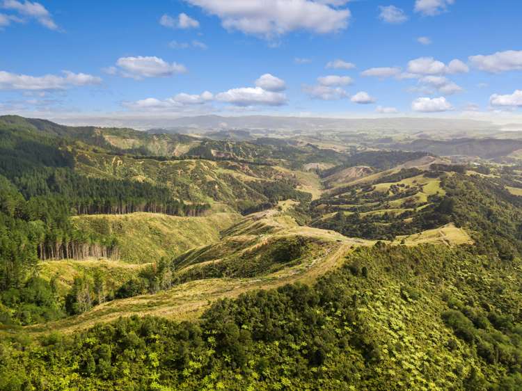 65 Moumoukai Hill Road Ness Valley_11