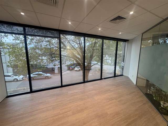 5 Wilkins Street Freemans Bay_4