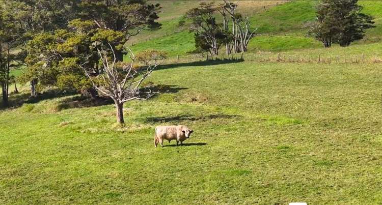 122 Hurndall Street Maungaturoto_17